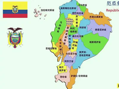 20241212厄瓜多尔白虾每周报价