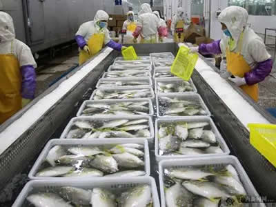 11亿美元！中国首次超过美国成为越南水产品最大进口国