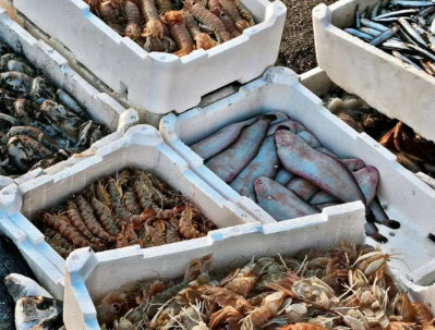 越南2025年海鲜出口大幅增长，出口额近113亿美元