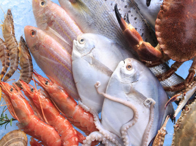 2025年12月份欧洲市场大宗水产品最新价格趋势