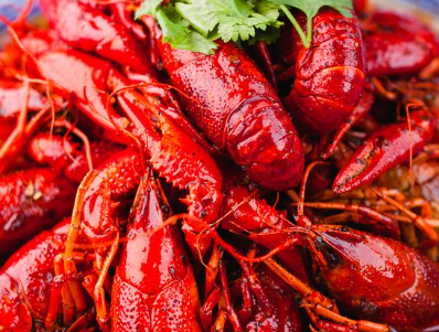 2025年我国小龙虾养殖业调查分析